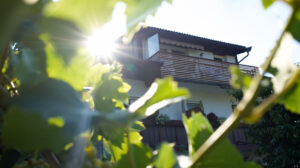 Balkon am Rebhof Dorftirol